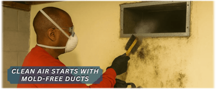 Air Duct Mold Removal in Mount Laurel NJ