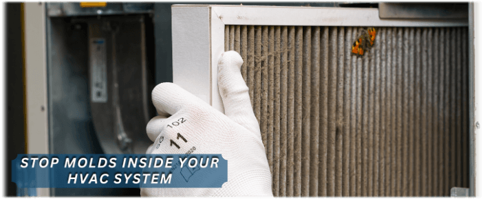 HVAC Mold Removal Mount Laurel NJ